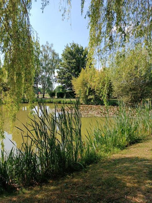 Comme A La Maison Pres Des Chateaux De La Loire Feings  Exterior foto